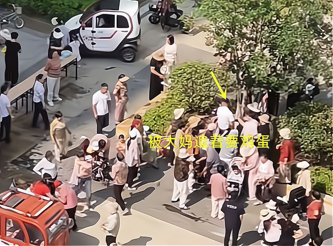 粽子大妈连盆都端走了还围堵物业要鸡蛋mg不朽情缘网站山东：小区端午免费包(图5)