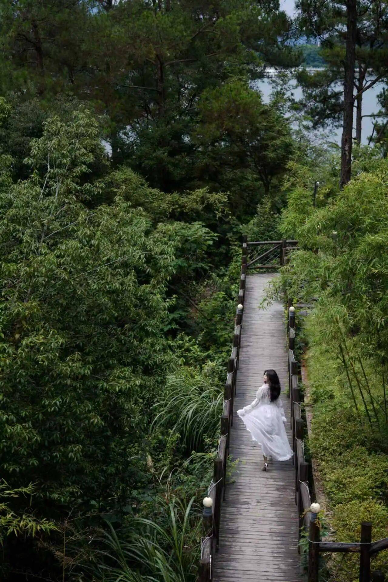 ：当生活被“精养”健康生态出现了哪些精细化演变？MG不朽情缘《2023中国健康生活趋势洞察报告》(图9)