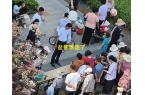粽子大妈连盆都端走了还围堵物业要鸡蛋mg